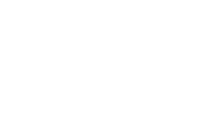 logo-camelo